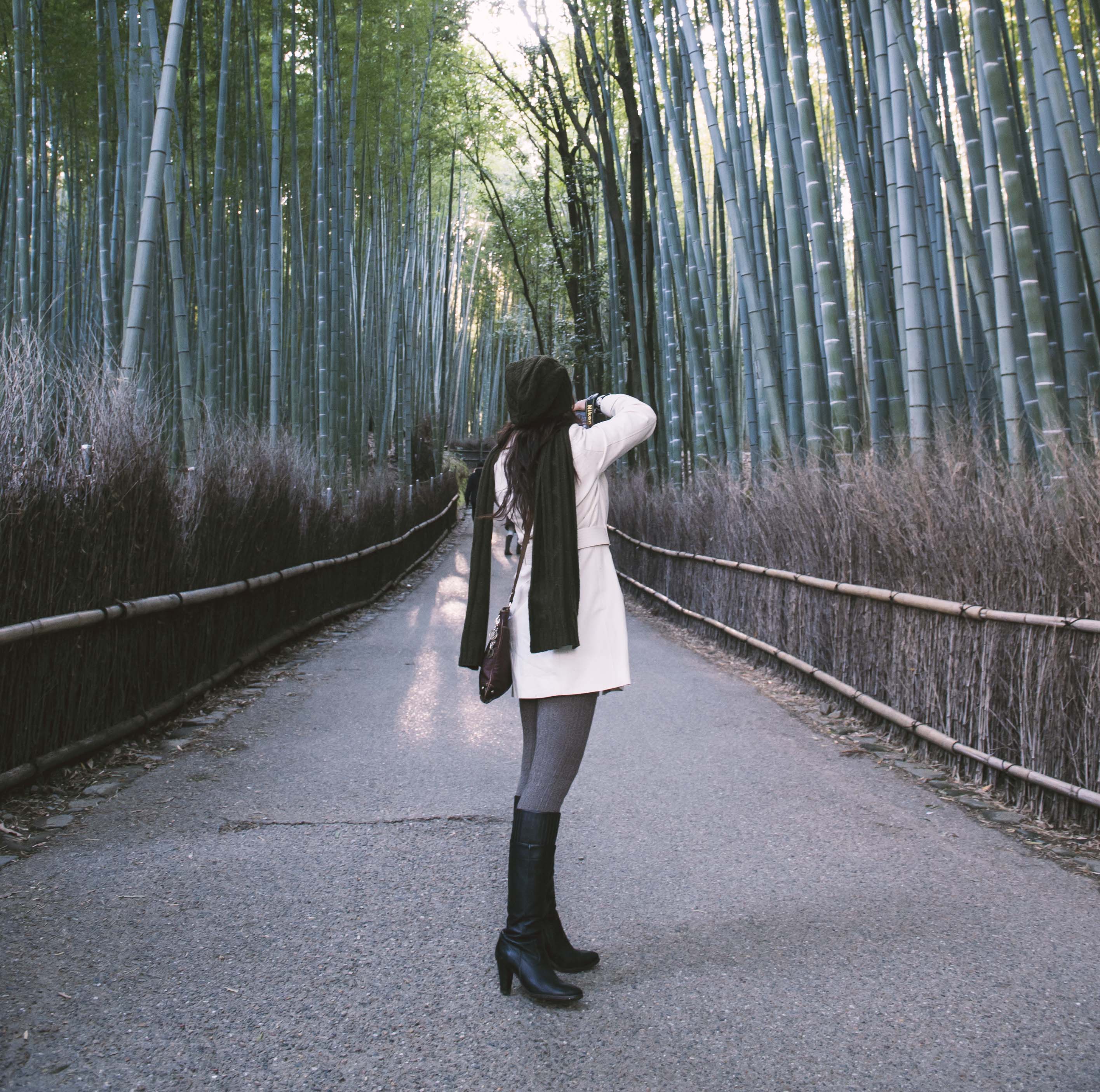 Arashiyama Bamboo Forest