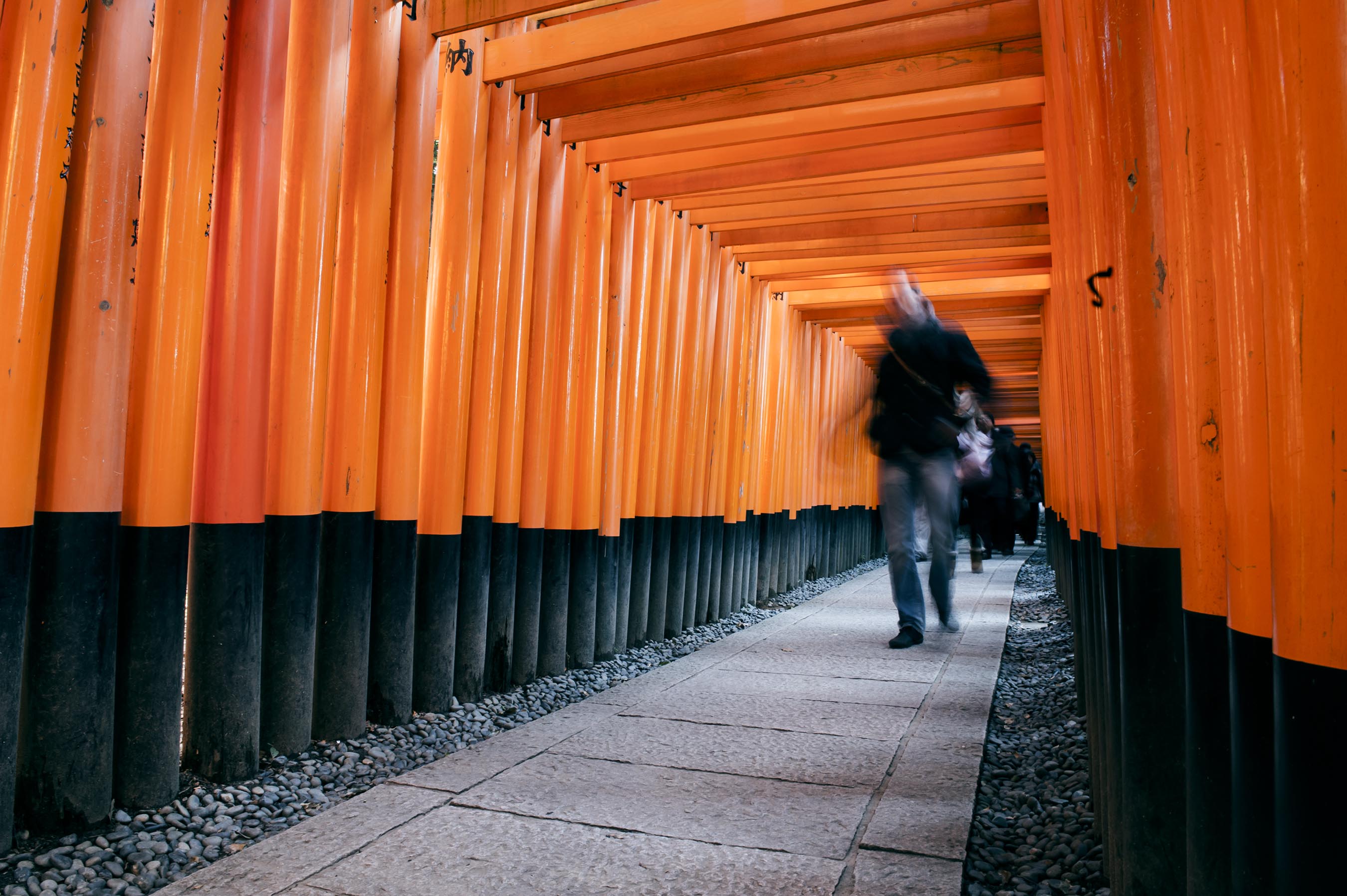 Torii leading to the outer shrine