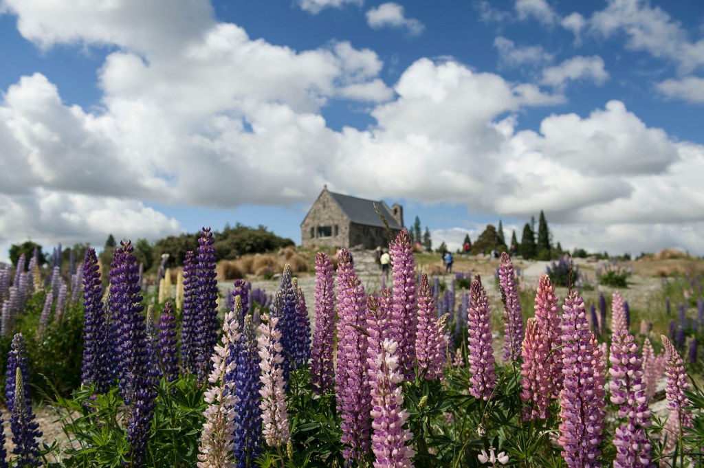 Lake Tekapo, Canterbury NEW&nbsp;ZEALAND